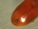 DSCN9514.JPG
