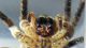 DSCN3880 - Copia.JPG