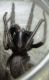 DSCN4006 - Copia.JPG