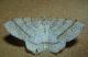 Image13.jpg