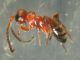 DSCN9594.JPG