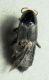 DSCN4616 - Copia.JPG