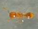 DSCN9601.JPG