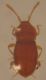 DSCN9619.JPG