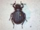 Immagine 019.jpg