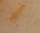 DSCN9633.JPG