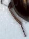 Immagine 049.jpg