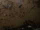 DSCN9670.JPG