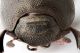 2012-01-09-20.43.36-ZS-PMax.jpg