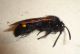 DSC02472.JPG