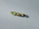 larva 3.jpg