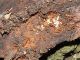 Torrimpietra_22-I-2012_Fu026.JPG