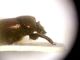 DSCF8758.jpg