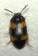 DSCN7458 - Copia.JPG
