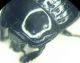 BILD5760.JPG