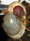 DSCF2634.JPG