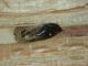 DSCN9742.JPG