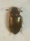 DSCN9948.JPG