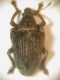 DSCN9954.JPG