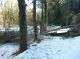 P1140342..JPG