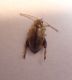 DSC02810.JPG