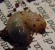 DSCN6180.jpg