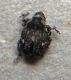 DSCN8487.JPG