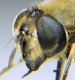 DSCN8833.JPG
