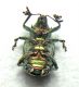 DSCN8963.jpg