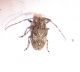 DSC03335.JPG