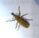 DSC03344.JPG