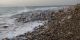 Dead Sea_2 2012.03.24.jpg