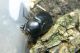 DSCN9293 - Copia.JPG