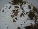 CIMG0825 (640x480).jpg