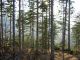 DSCN6092.jpg