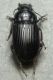 DSCN9478.JPG