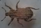 DSC02364ee.JPG