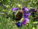DSCN3047.JPG