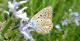 240920101140-pronta.jpg