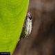 DSC_3459.jpg