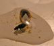 Framura SP 31-03-12 001b.jpg