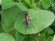 DSCN3570.JPG