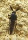 SME Nord 23.IV.2012 040a.jpg