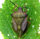 DSCN3616.JPG
