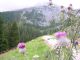 malga 006.jpg