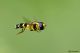 DSC_3418pbase.jpg
