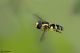 DSC_3437pbase.jpg