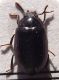 DSCF1556.JPG