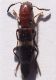 DSCF1572.jpg
