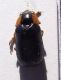 DSCF1566.JPG